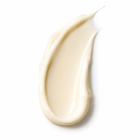 The Face Cream — Regeneration & Schutz für nachhaltige Hautqualität